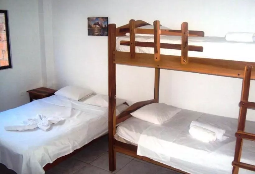 ユースホステル Hostal La Casa De Luis