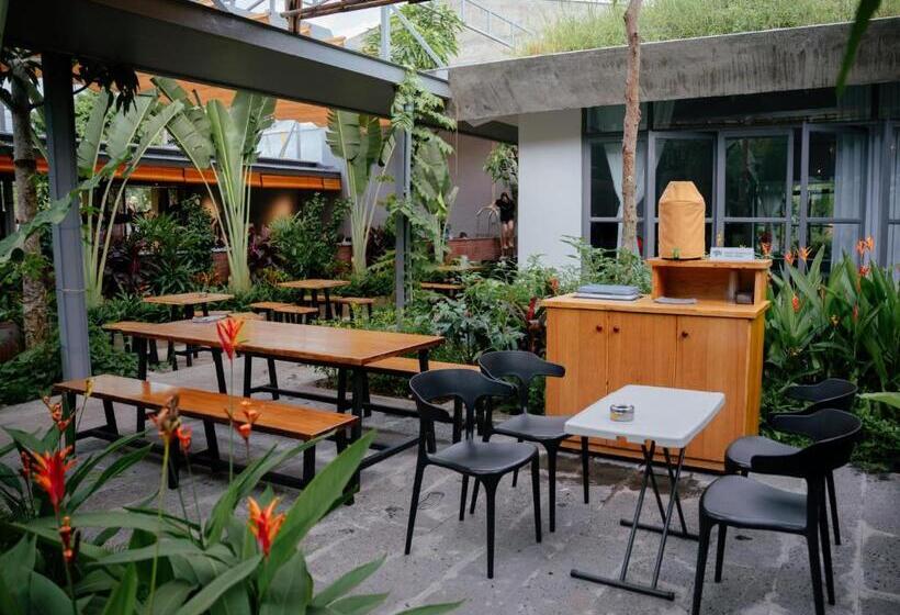 هاستل Kiet Hong