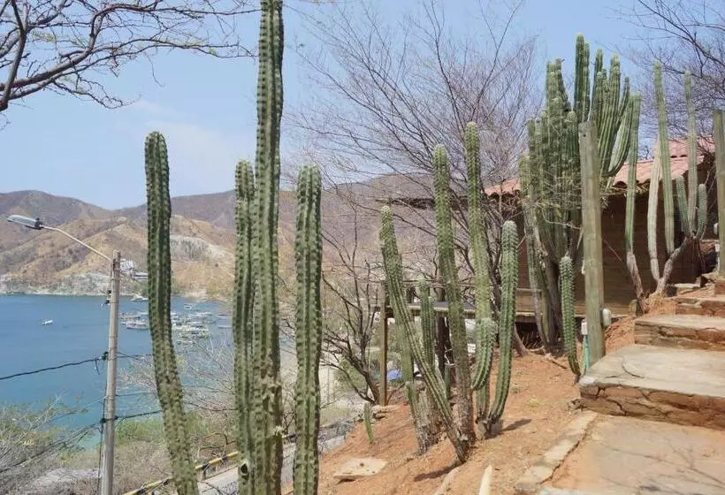 ホテル Cactus Taganga