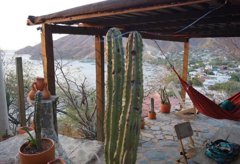 בית מלון כפרי Cactus Taganga