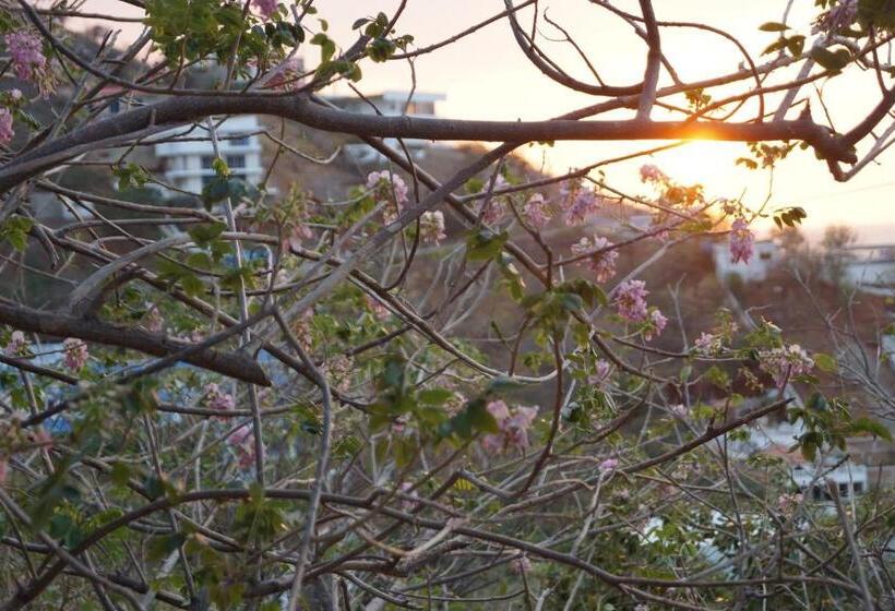 בית מלון כפרי Cactus Taganga