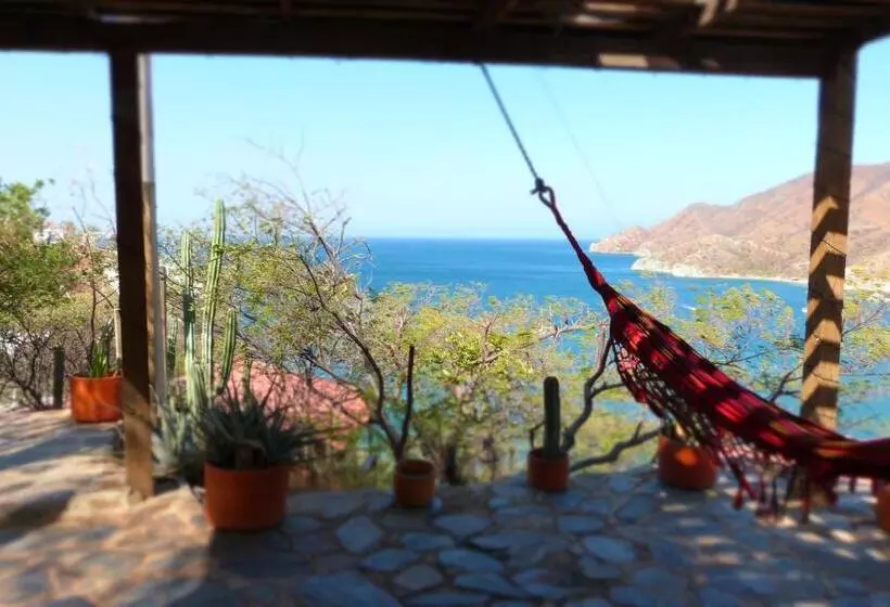 ホテル Cactus Taganga