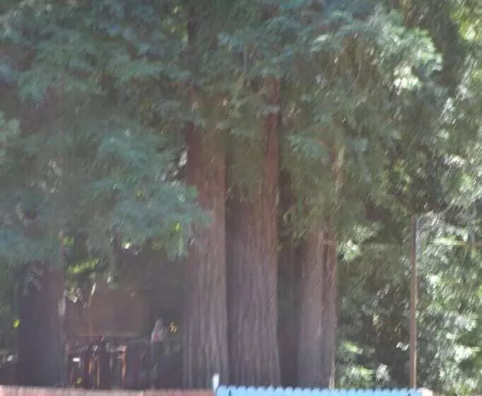 ホテル Guerneville Lodge
