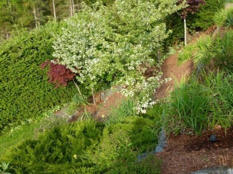 Hotel Panorama Bed And Breakfast