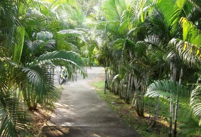 ホテル Wilai Villa