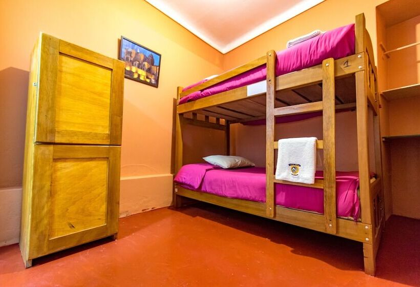 Inka Wild Hostel