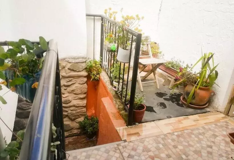 ベッドアンドブレックファースト Casa Patacalle