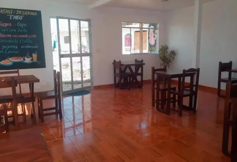 Hostel Willys House
