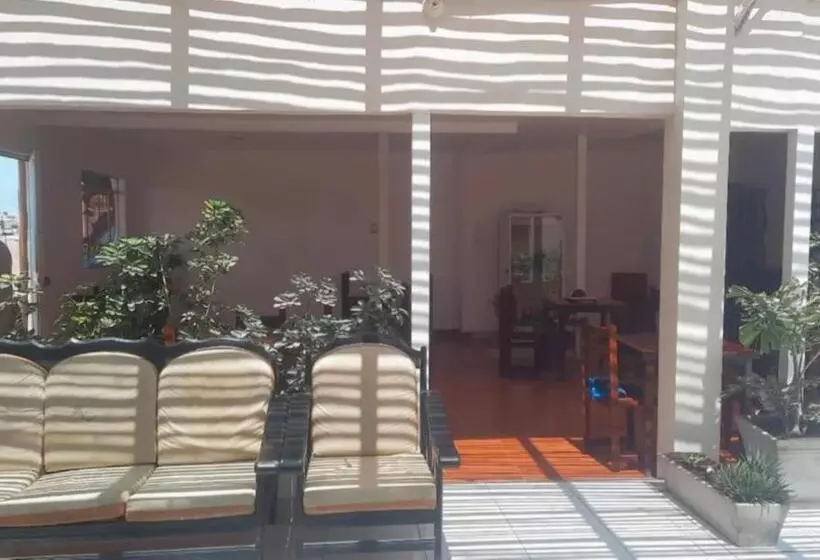 Hostel Willys House