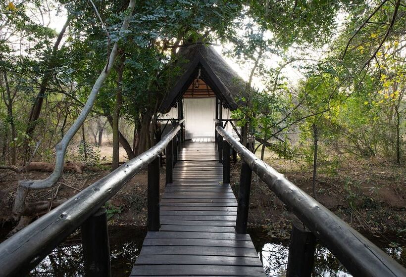 호텔 Blyde River Canyon Lodge