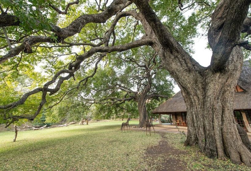 호텔 Blyde River Canyon Lodge