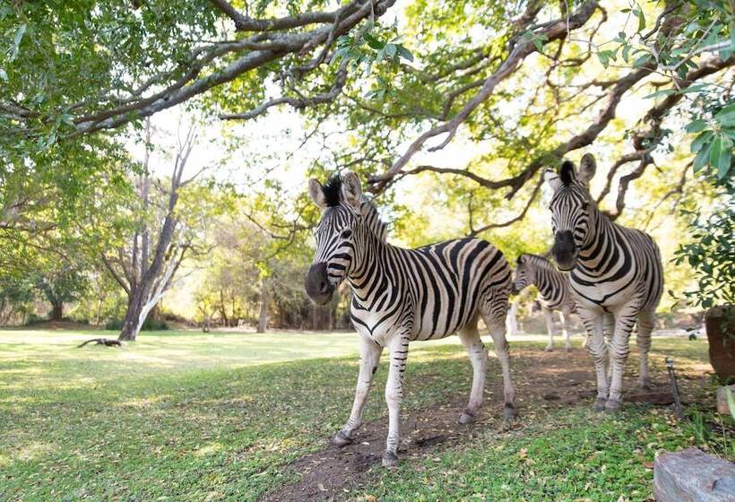 호텔 Blyde River Canyon Lodge
