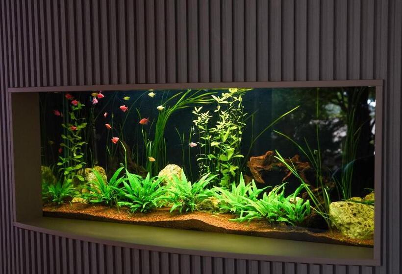 בית מלון כפרי Opal