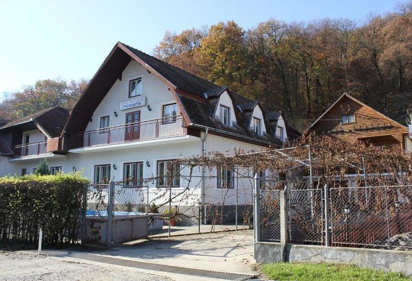 בית מלון כפרי Poenita