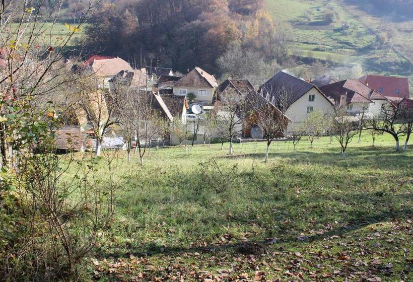 בית מלון כפרי Poenita