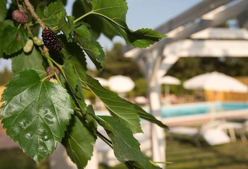 هتل Sicily Country House & Beach