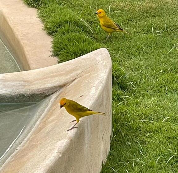 בית מלון כפרי Sunset Mancora