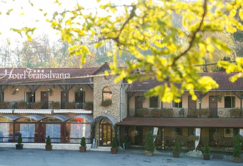 فندق Transilvania
