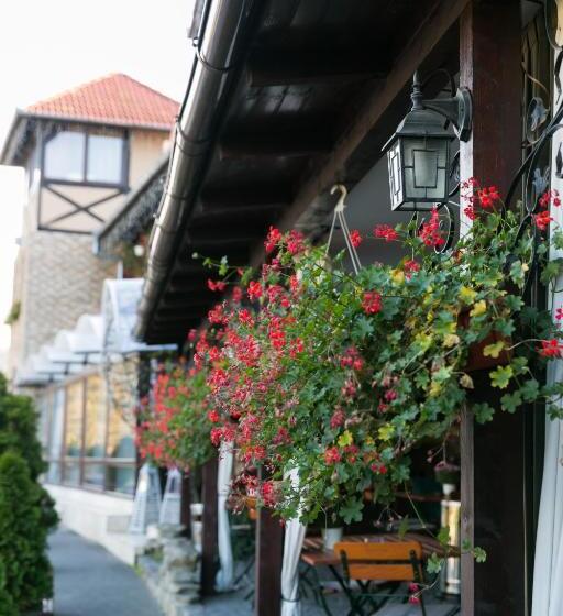 فندق Transilvania