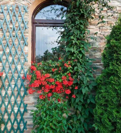 فندق Transilvania