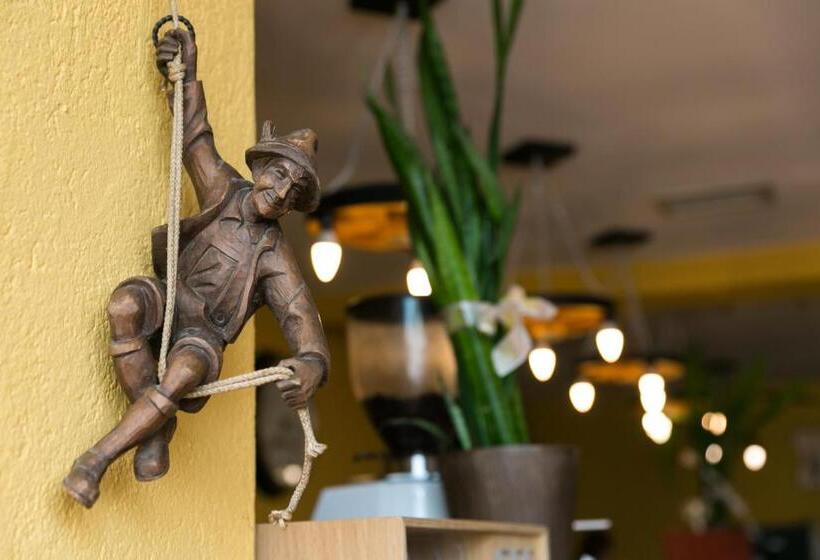 فندق Transilvania