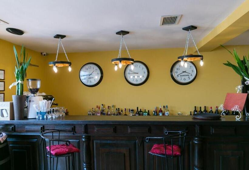 فندق Transilvania