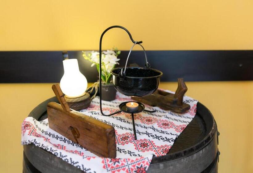 فندق Transilvania