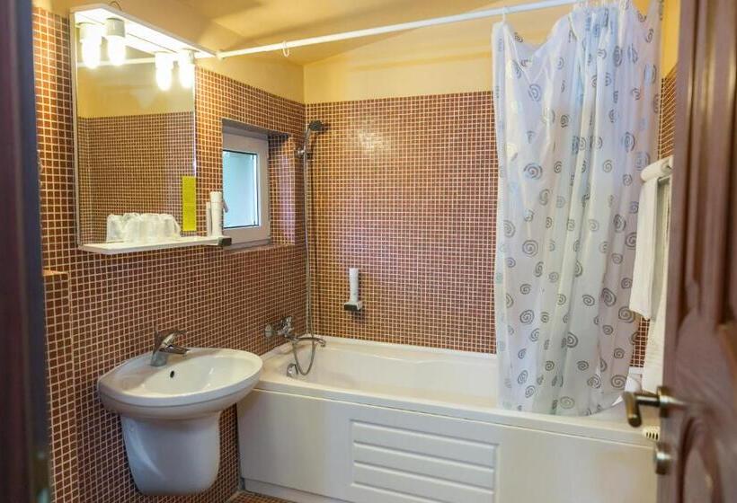 فندق Transilvania