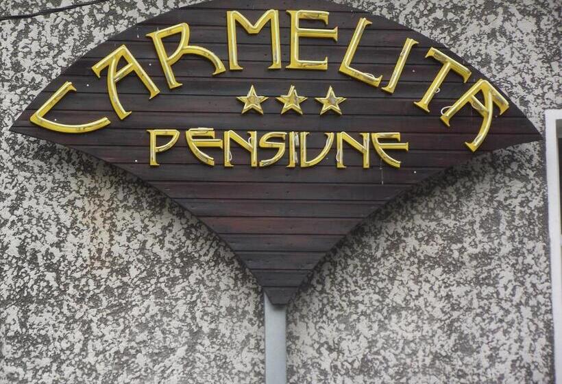 בית מלון כפרי Villa Carmelita