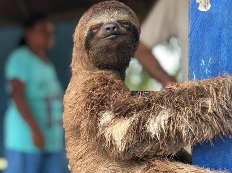 酒店 Yurupary Amazonas