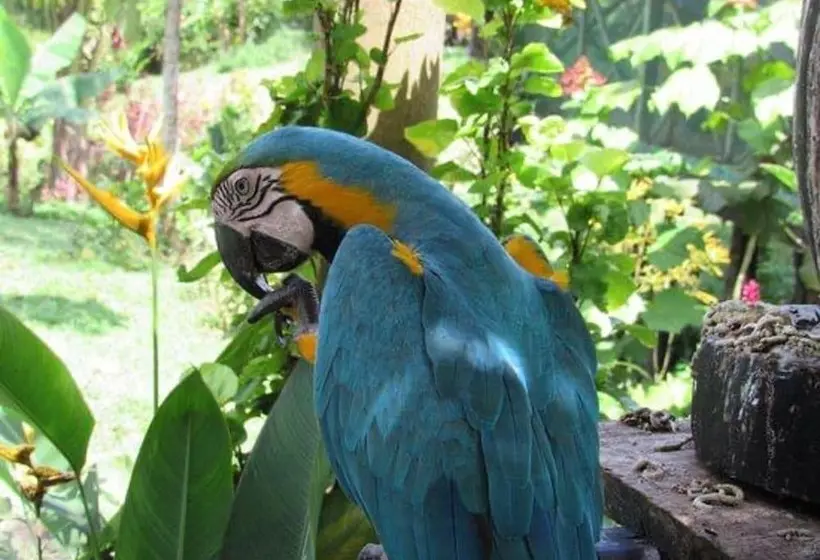 ホテル Yurupary Amazonas