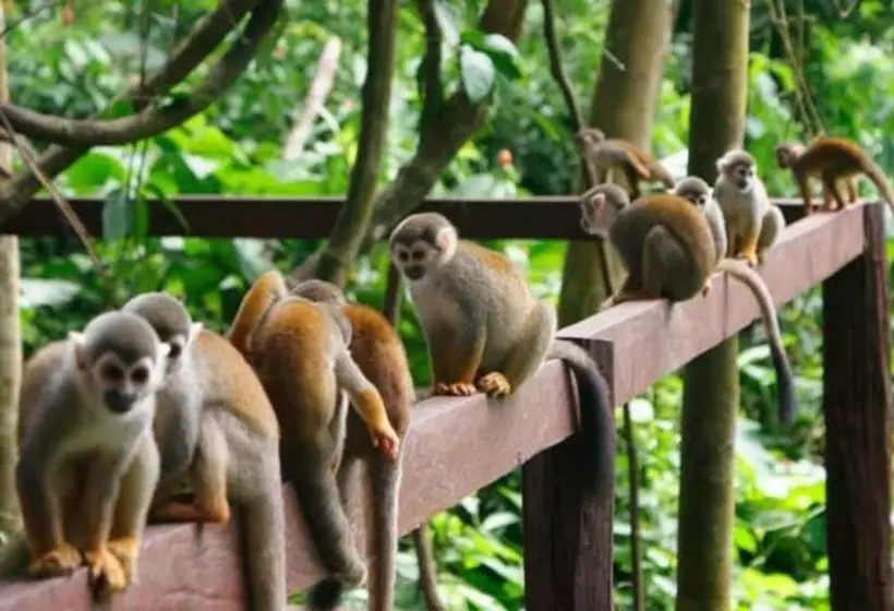 ホテル Yurupary Amazonas