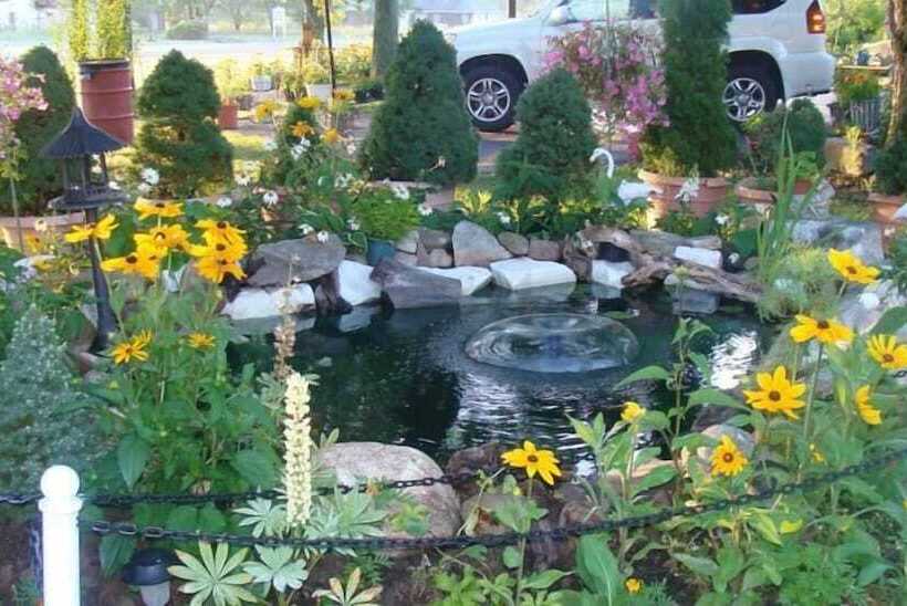 ホテル Chateau Motor Lodge