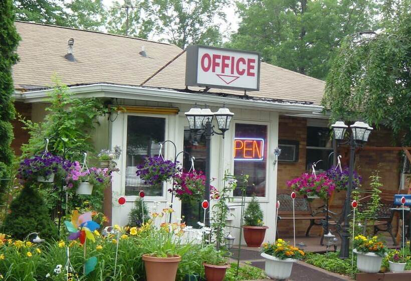 ホテル Chateau Motor Lodge