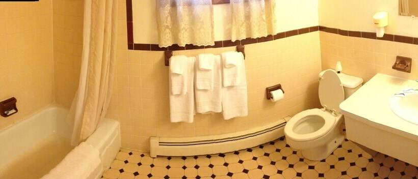 ホテル Chateau Motor Lodge