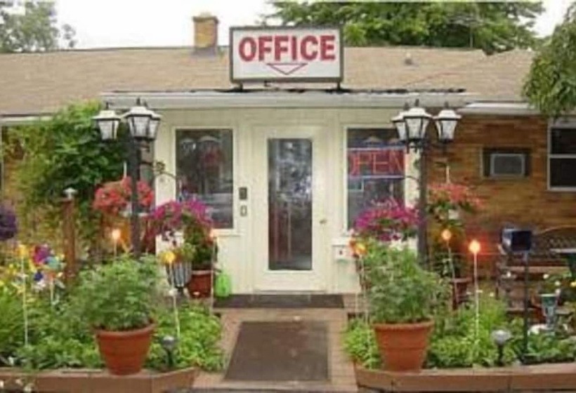 ホテル Chateau Motor Lodge