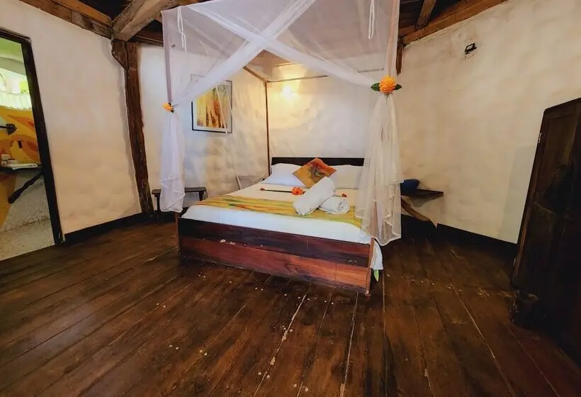 リゾートホテル Playa La Roca Ecohotel