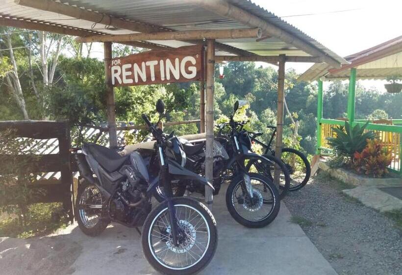 호스텔 Hostal Y Camping Los Girasoles