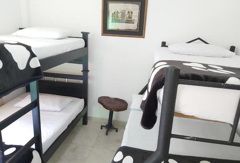호스텔 Hostal Y Camping Los Girasoles