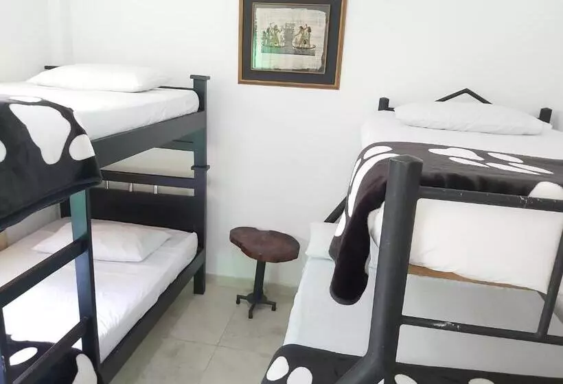 ユースホステル Hostal Y Camping Los Girasoles