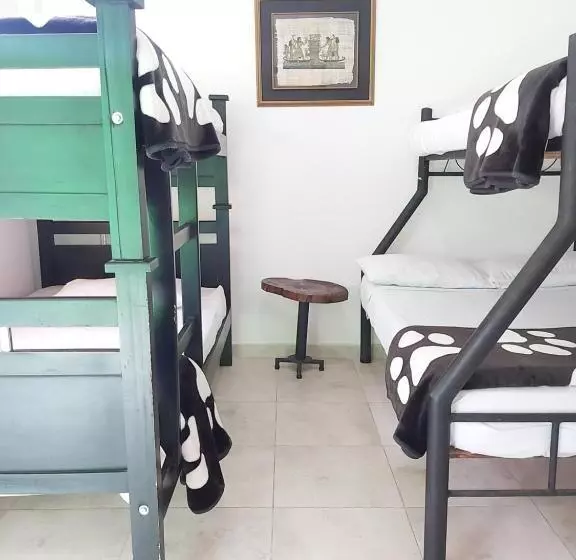 ユースホステル Hostal Y Camping Los Girasoles