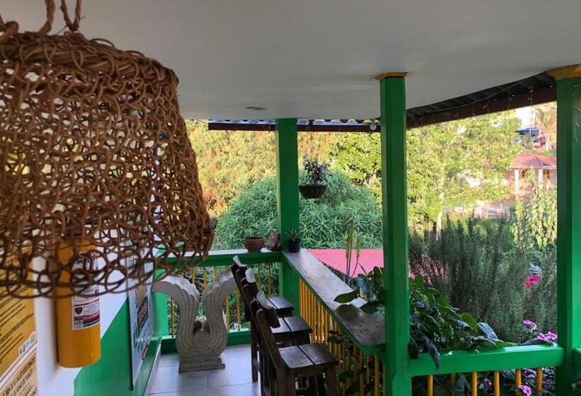 호스텔 Hostal Y Camping Los Girasoles