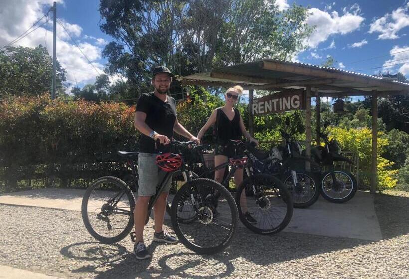 호스텔 Hostal Y Camping Los Girasoles