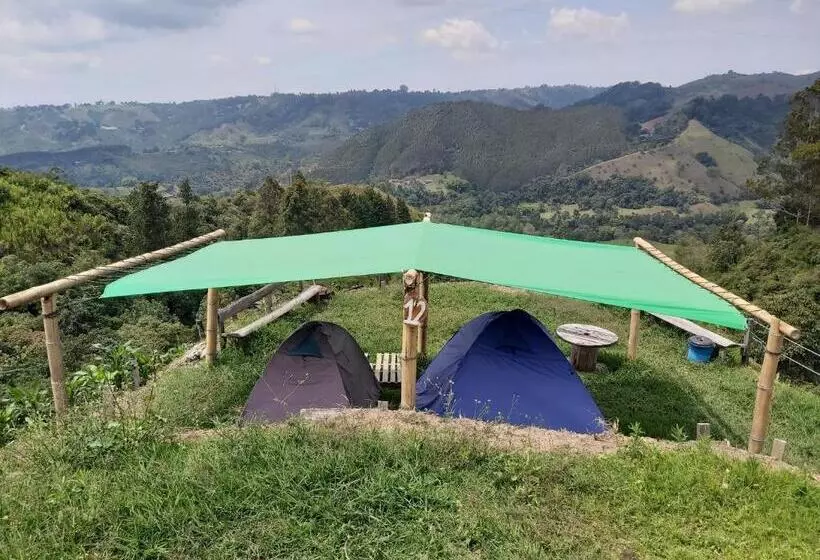 ユースホステル Hostal Y Camping Los Girasoles