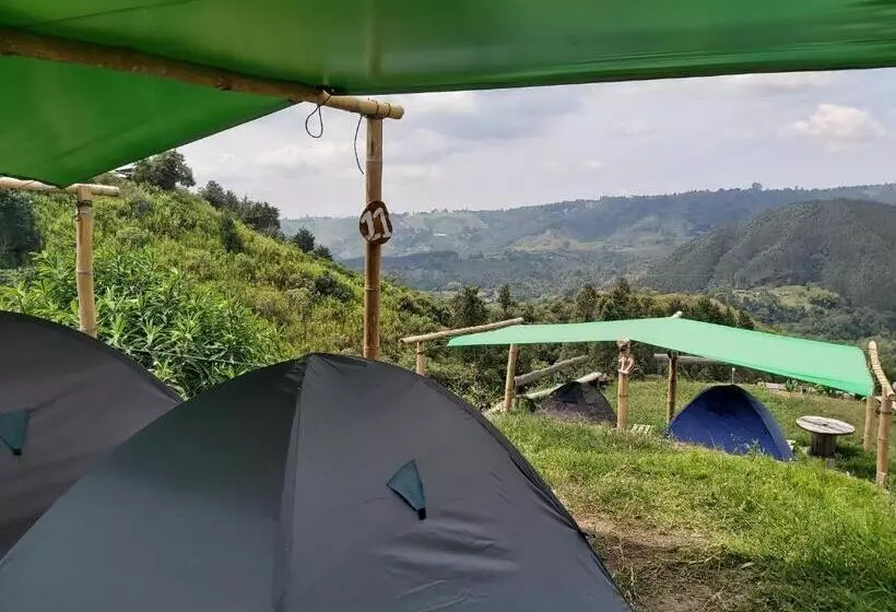 ユースホステル Hostal Y Camping Los Girasoles