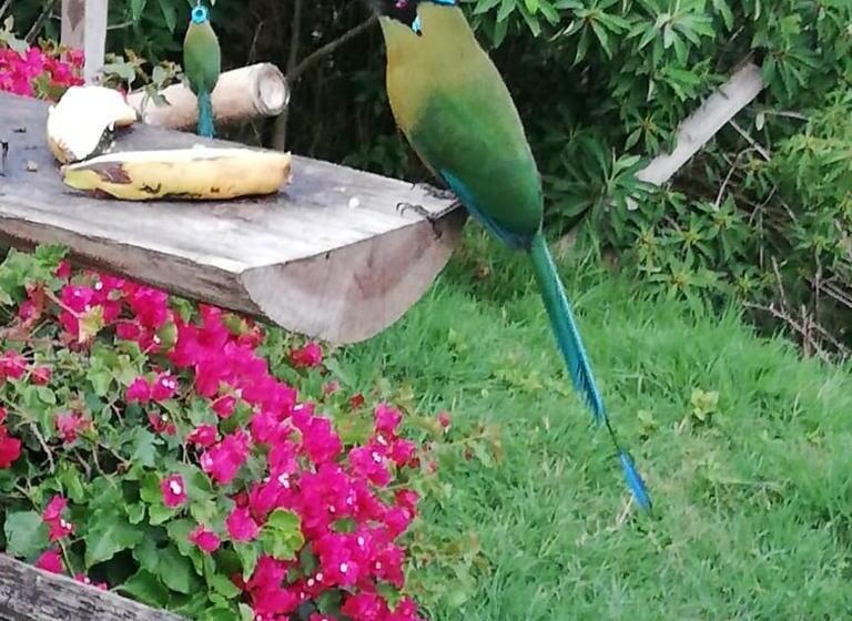 호스텔 Hostal Y Camping Los Girasoles