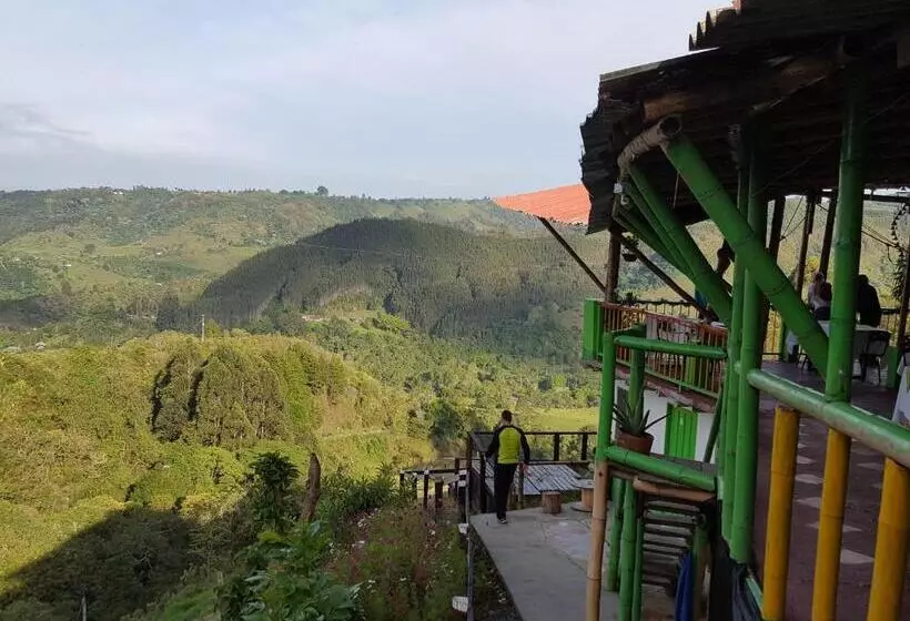 ユースホステル Hostal Y Camping Los Girasoles