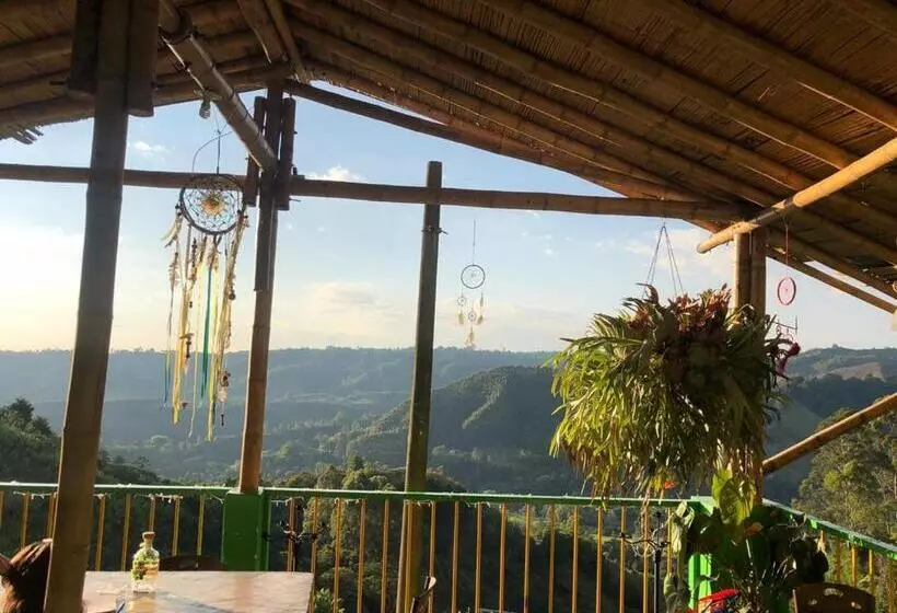 ユースホステル Hostal Y Camping Los Girasoles