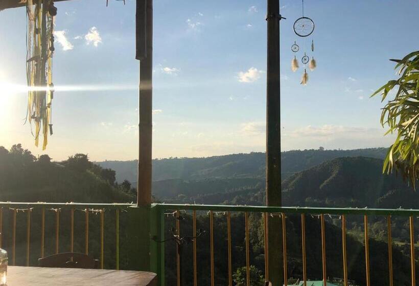 호스텔 Hostal Y Camping Los Girasoles