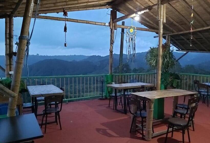 호스텔 Hostal Y Camping Los Girasoles